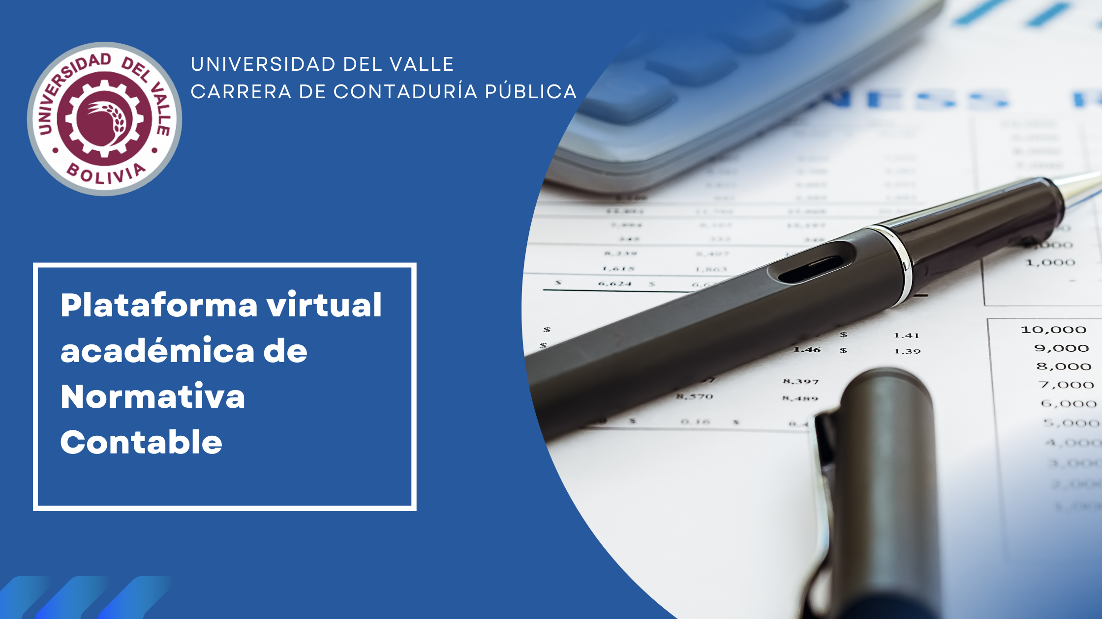 Plataforma virtual académica de Normativa Contable